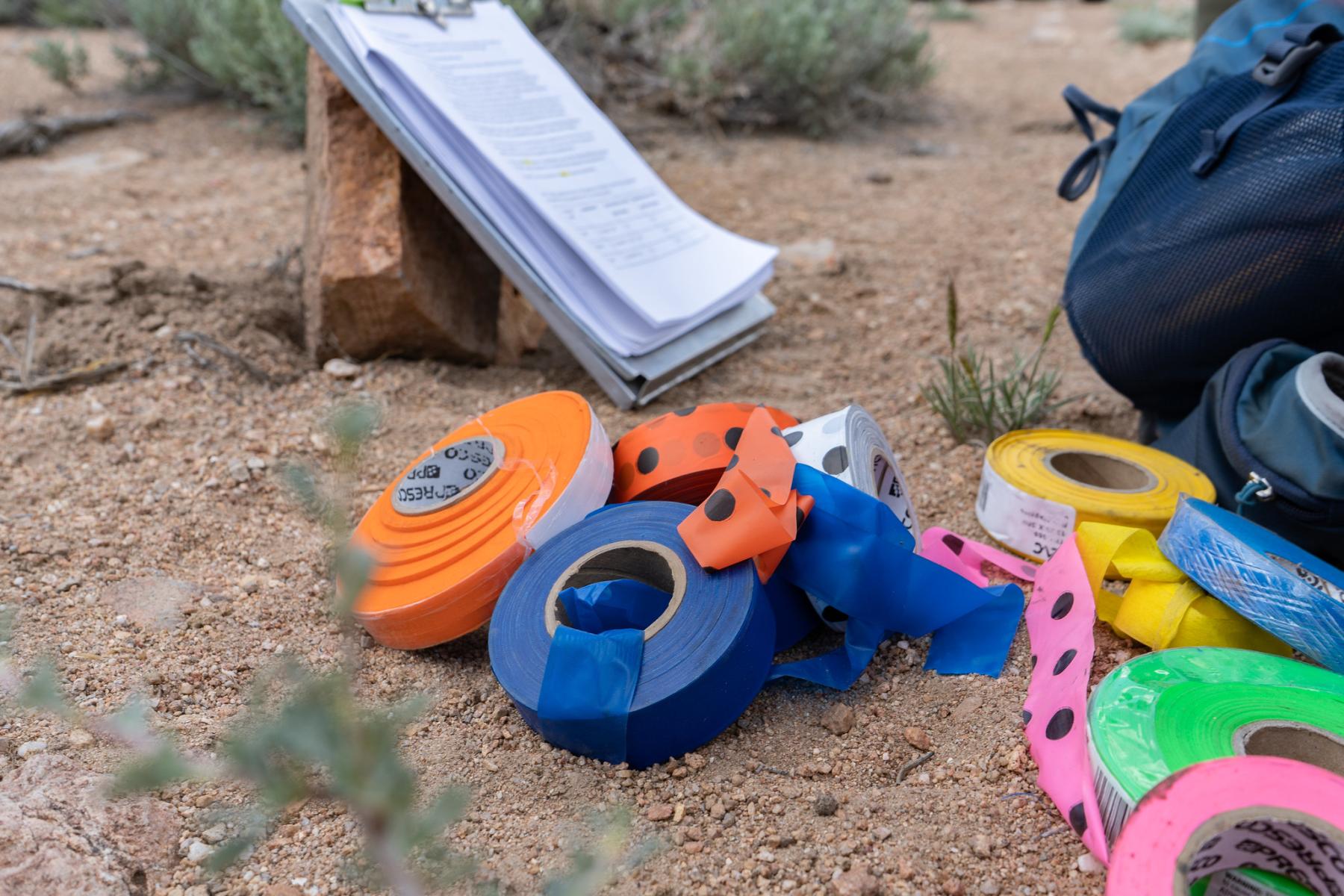 USDA Forest Service field assessment with clipboard and flagging tape, representing the thoroughness of professional wildfire risk evaluation