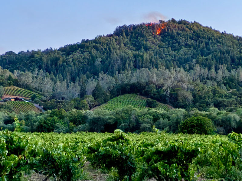 Early Start to Fire Season: Point Fire Lessons