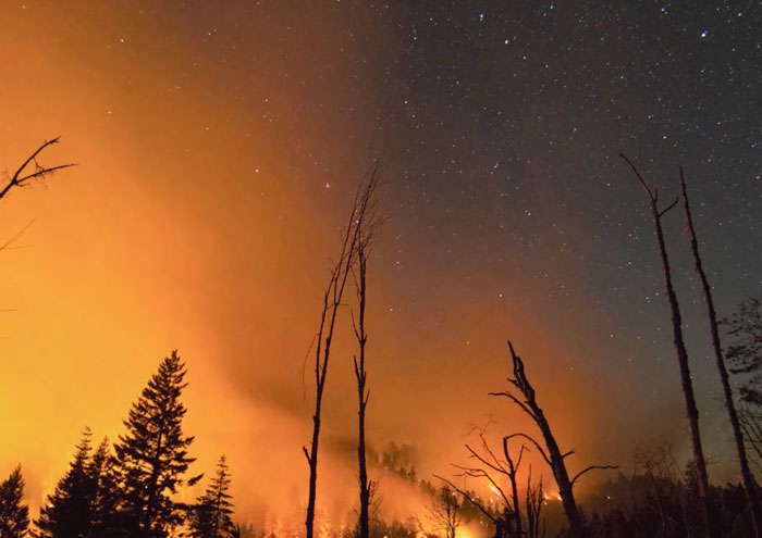 A Film That Puts Wildfire in a New Perspective