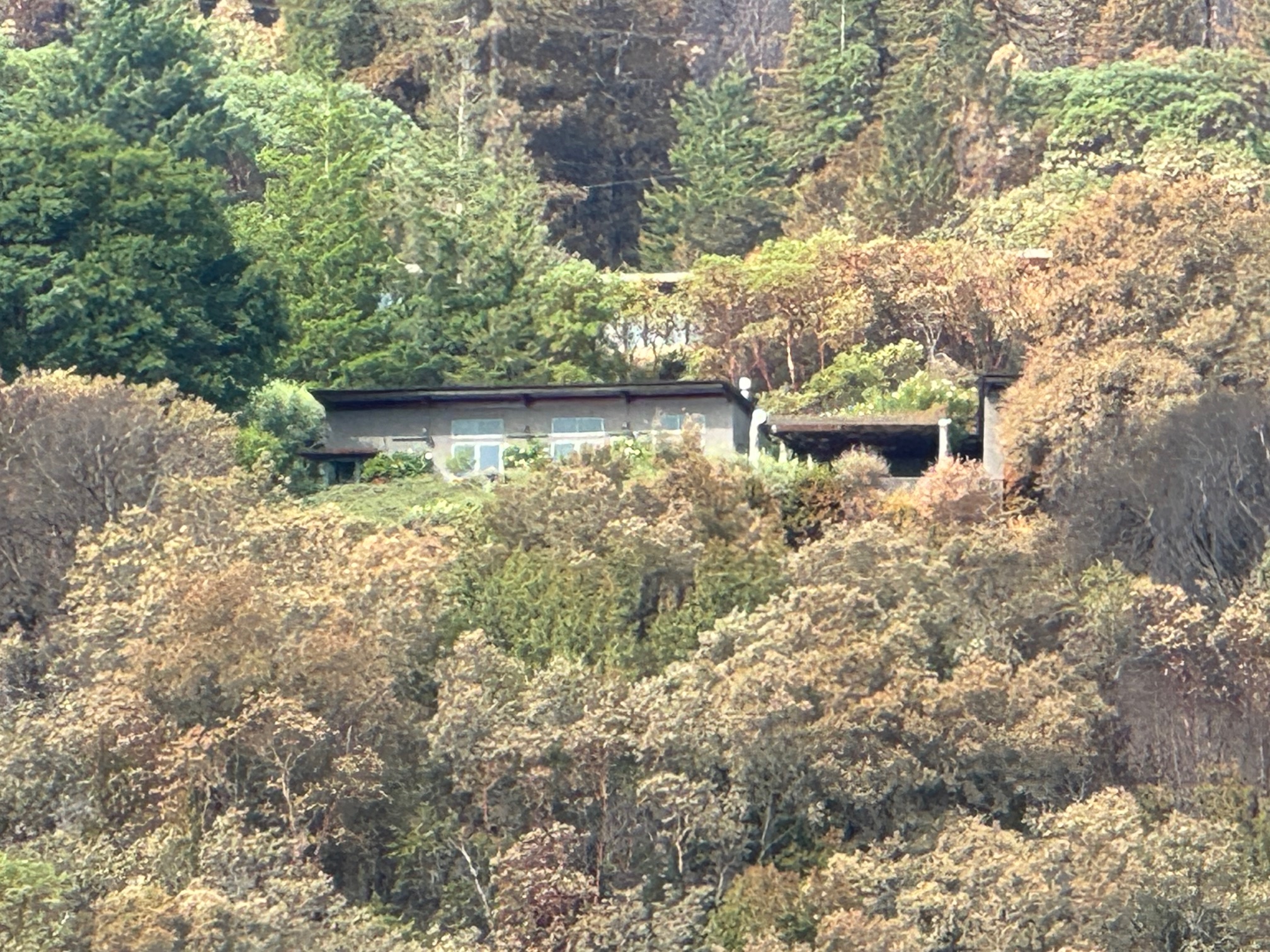 The L.A. Winter Firestorm: Control What We Can Control