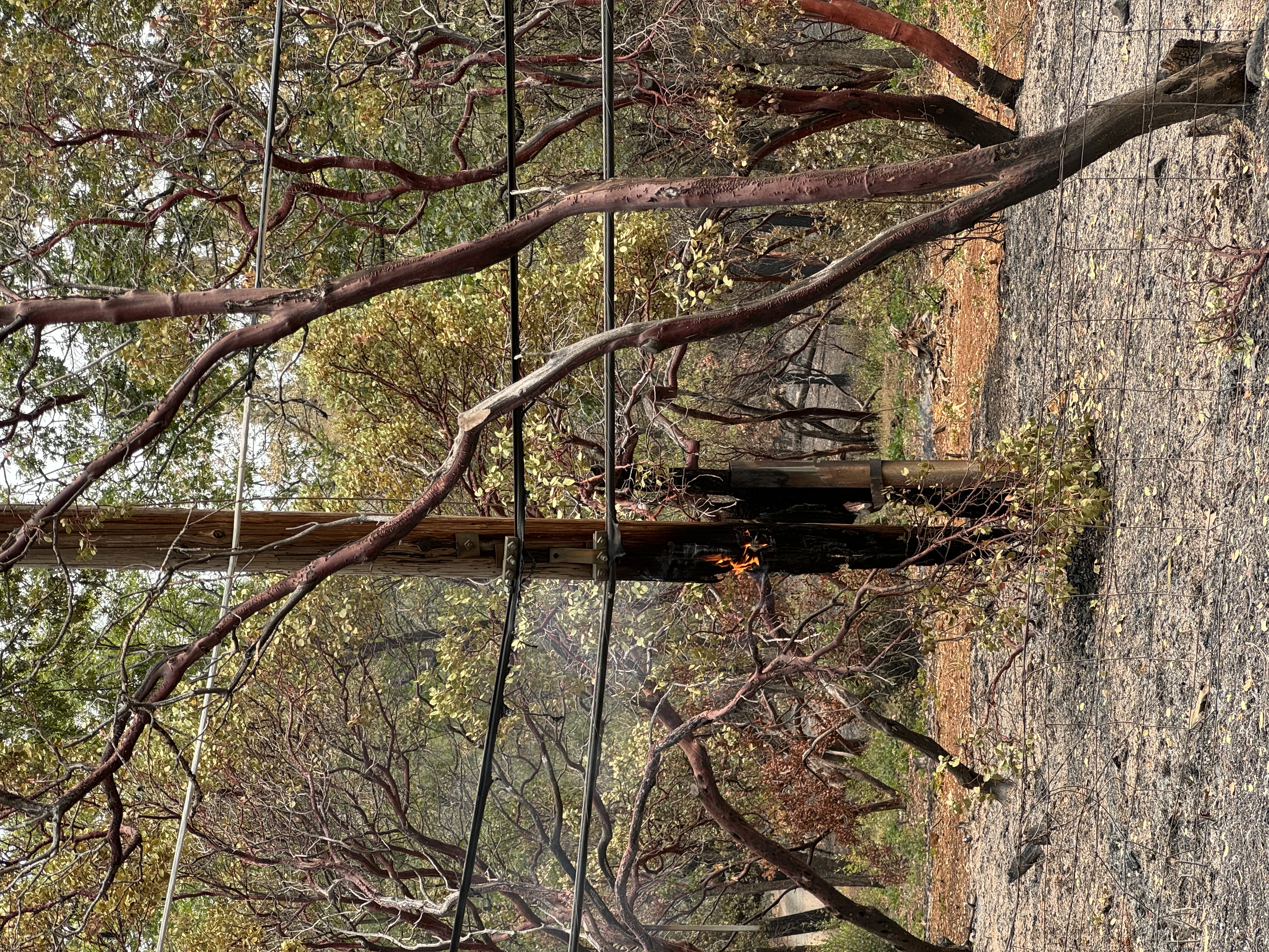 Burned hillside with a smoldering utility pole after a California wildfire, showing the extent of fire damage across the landscape