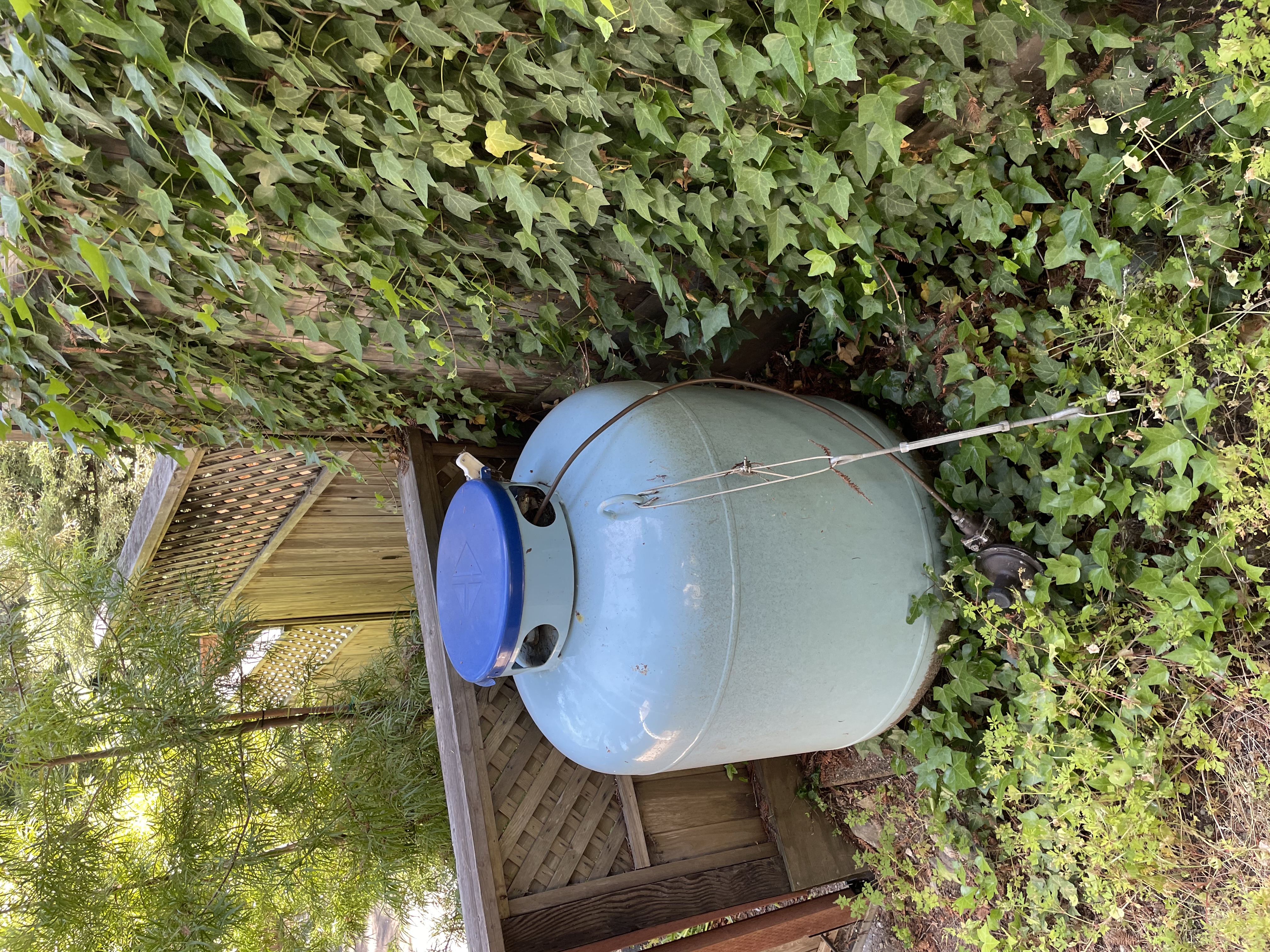 Propane tank on a wooden platform surrounded by ivy and combustible vegetation