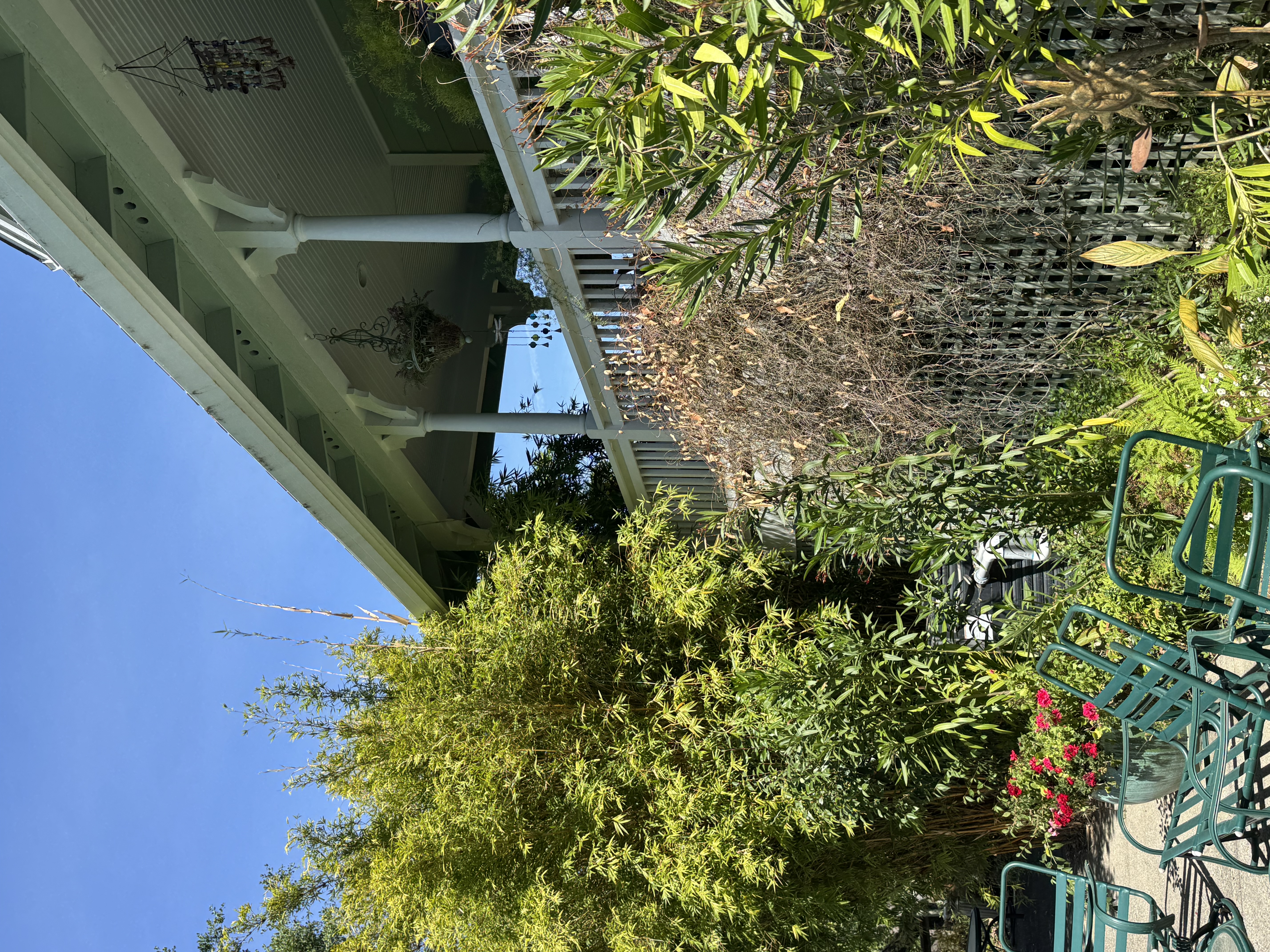 Victorian porch with dense bamboo and vegetation growing against the structure, a common Zone 0 fire hazard on historic properties