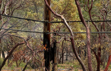 Burning Power Pole - Park Fire